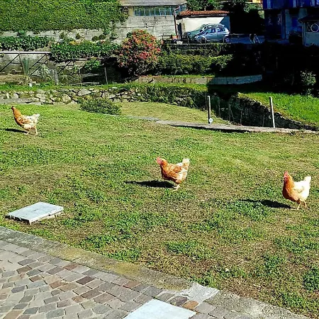 Casa Mati 2 Verbania