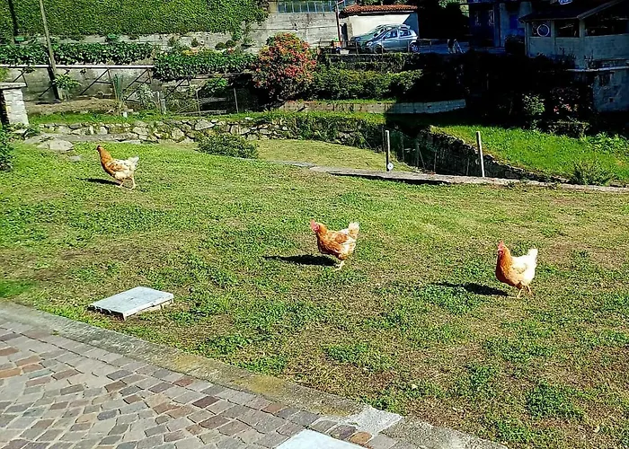 Casa Mati 2 Verbania