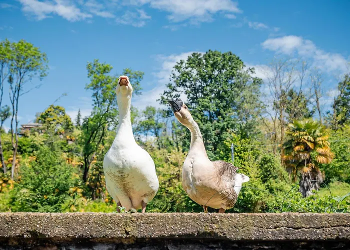 Lejlighed Casa Mati 2 Verbania